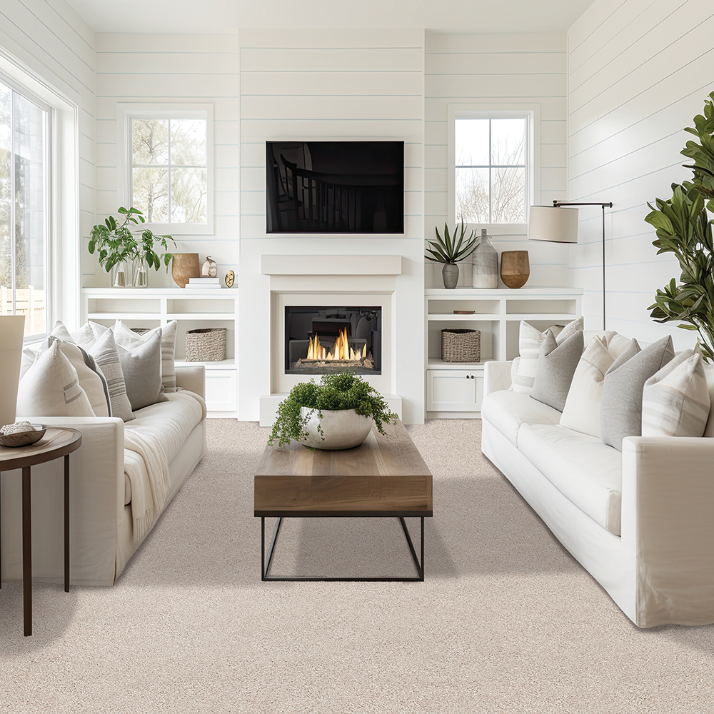 Carpet - The Home Depot